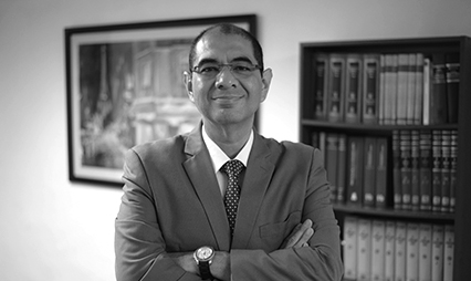 El Arbitraje del Estado